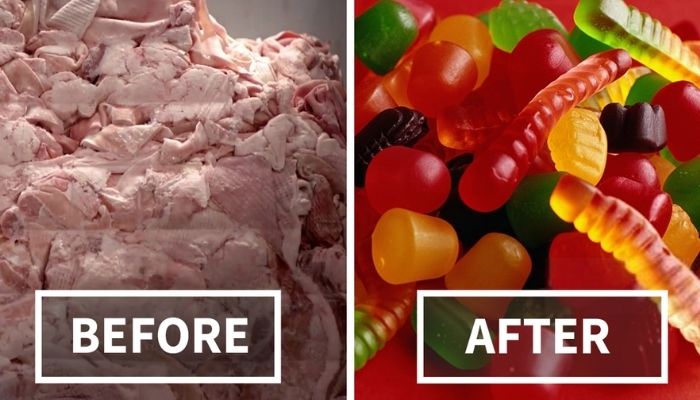 how-gelatin-is-made