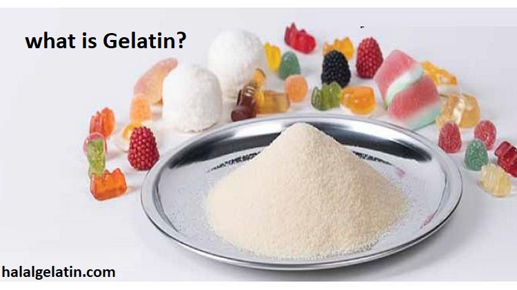 what-is-gelatin
